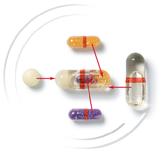 multi-phase capsules